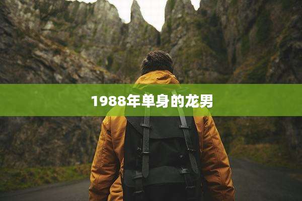 1988年单身的龙男