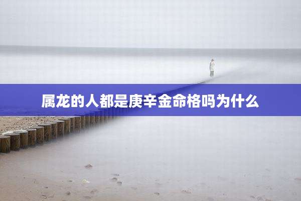 属龙的人都是庚辛金命格吗为什么