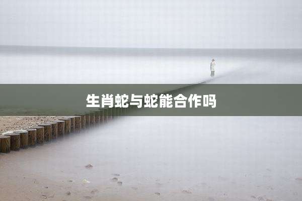 生肖蛇与蛇能合作吗