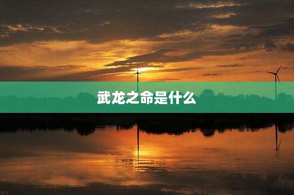 武龙之命是什么