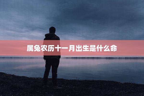 属兔农历十一月出生是什么命