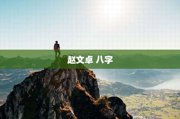 赵文卓 八字