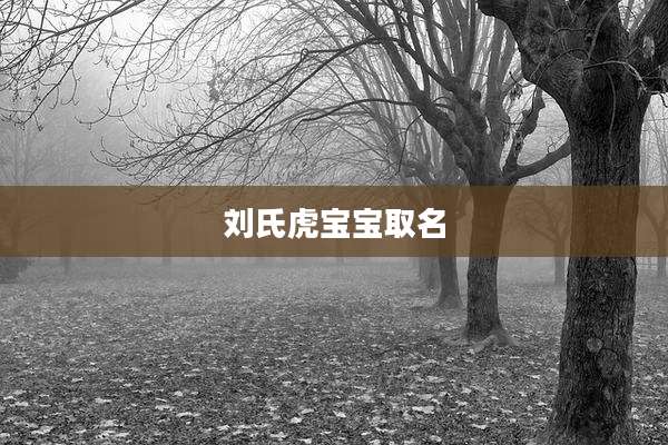 刘氏虎宝宝取名