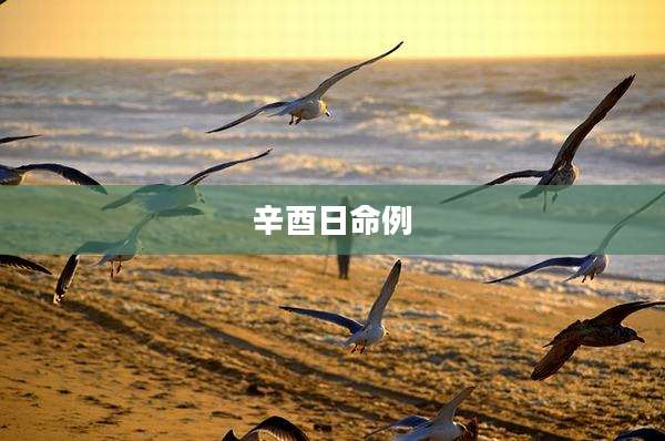 辛酉日命例