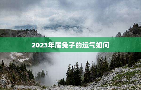 2023年属兔子的运气如何