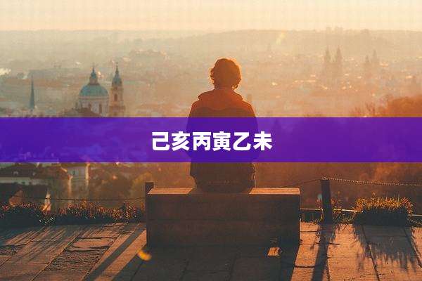 己亥丙寅乙未