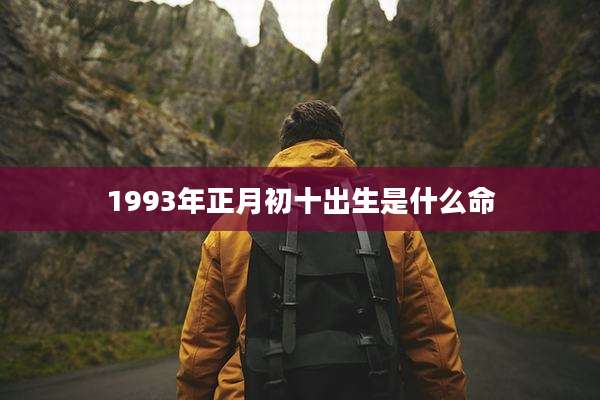 1993年正月初十出生是什么命