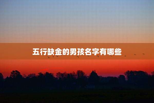 五行缺金的男孩名字有哪些