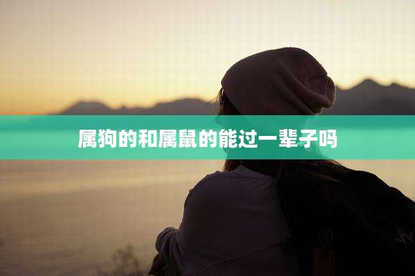 属狗的和属鼠的能过一辈子吗