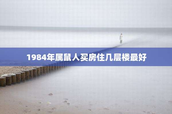 1984年属鼠人买房住几层楼最好