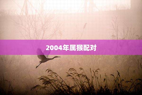 2004年属猴配对