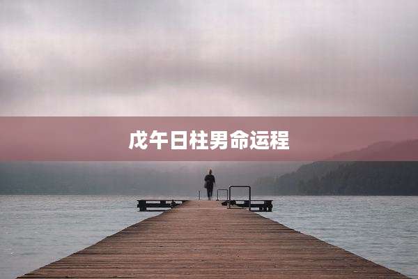 戊午日柱男命运程