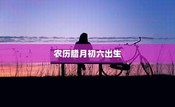 农历腊月初六出生