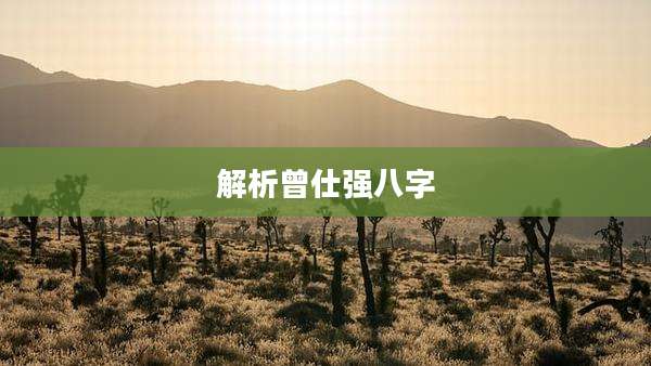 解析曾仕强八字