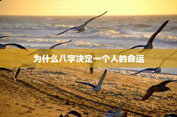 为什么八字决定一个人的命运