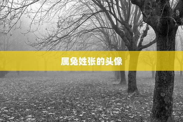属兔姓张的头像