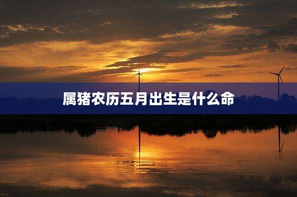 属猪农历五月出生是什么命