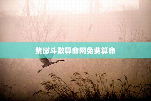 紫微斗数算命网免费算命