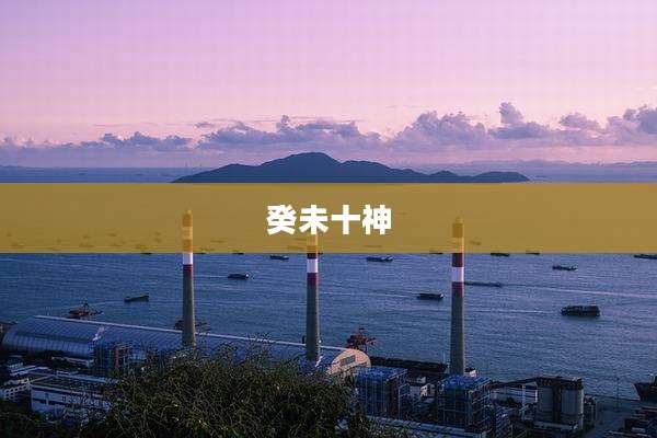 癸未十神