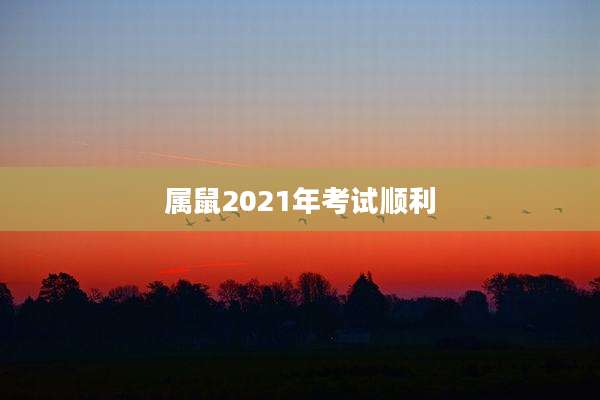 属鼠2021年考试顺利