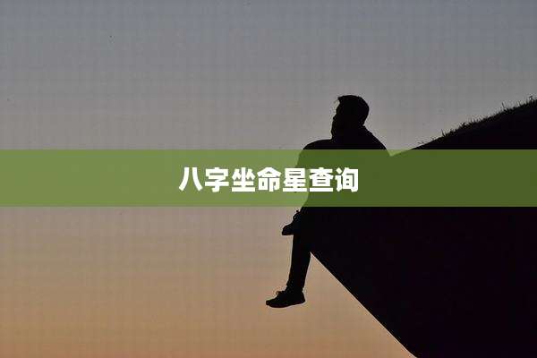 八字坐命星查询