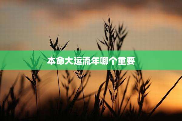 本命大运流年哪个重要