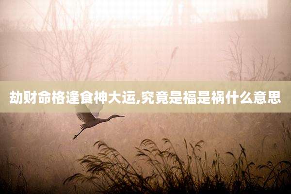 劫财命格逢食神大运,究竟是福是祸什么意思