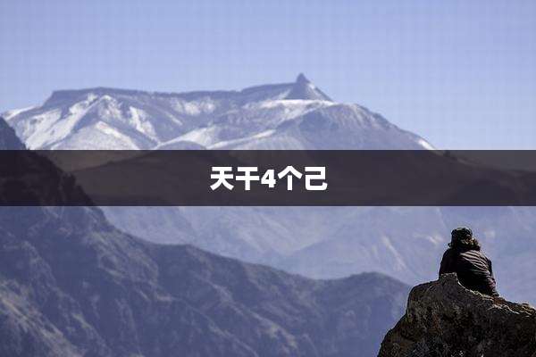 天干4个己