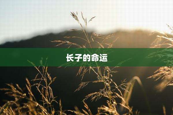 长子的命运