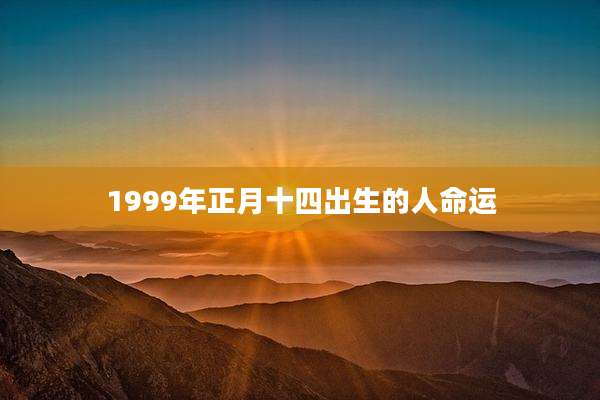 1999年正月十四出生的人命运