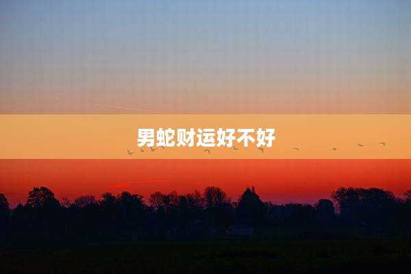 男蛇财运好不好