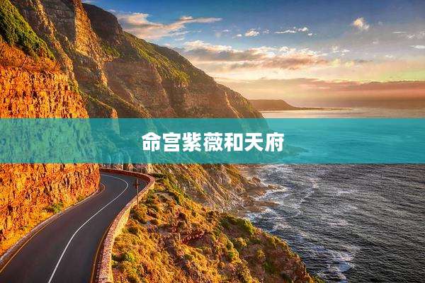 命宫紫薇和天府