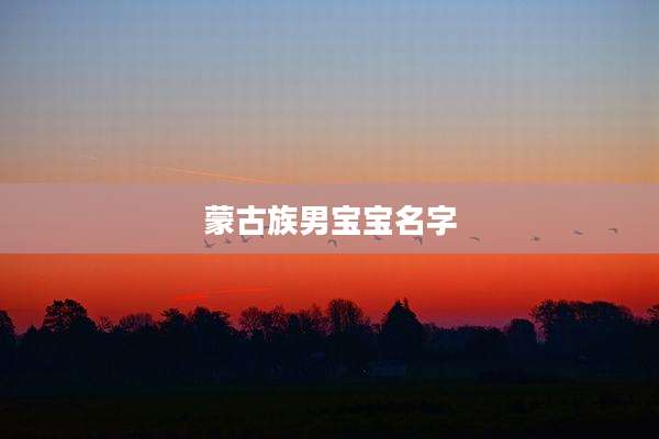 蒙古族男宝宝名字