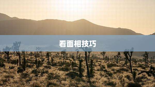 看面相技巧