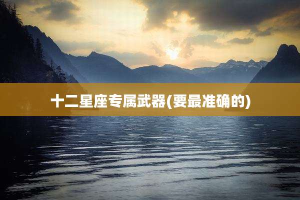 十二星座专属武器(要最准确的)
