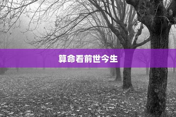 算命看前世今生