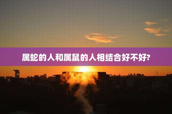 属蛇的人和属鼠的人相结合好不好?