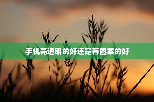 手机壳透明的好还是有图案的好