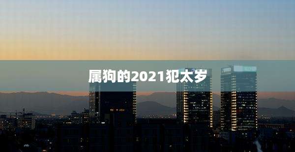 属狗的2021犯太岁