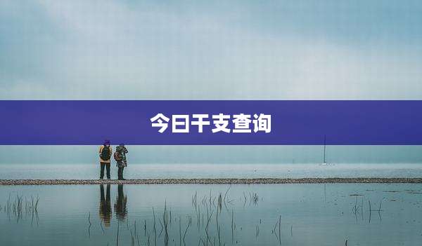 今曰干支查询