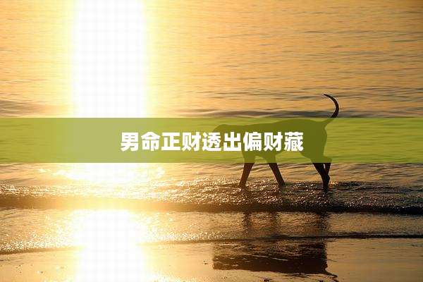 男命正财透出偏财藏