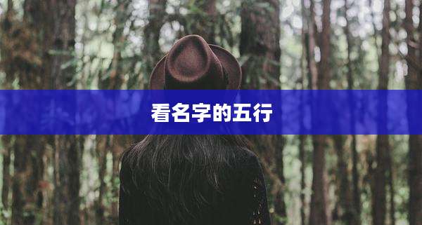 看名字的五行