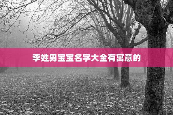 李姓男宝宝名字大全有寓意的