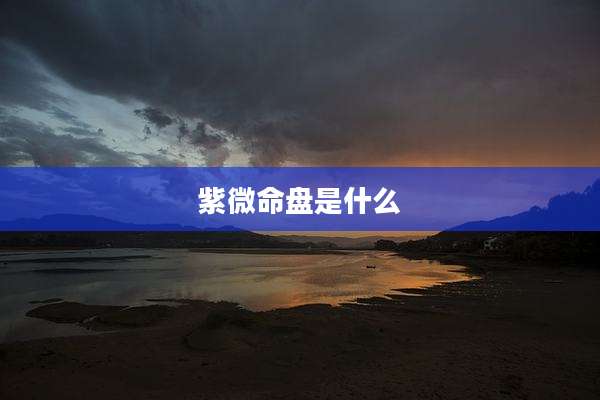紫微命盘是什么