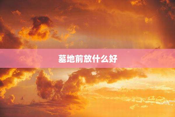 墓地前放什么好