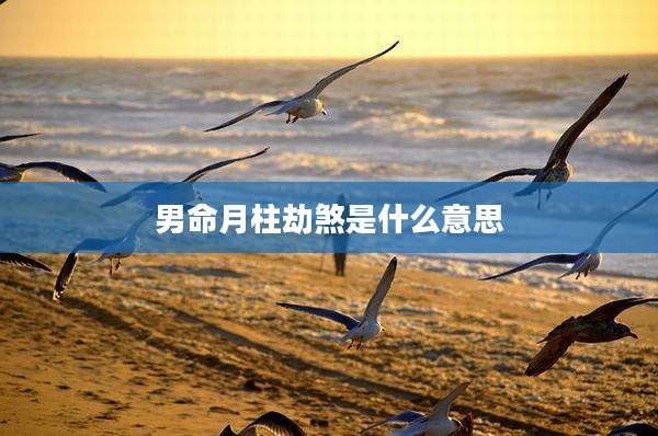 男命月柱劫煞是什么意思