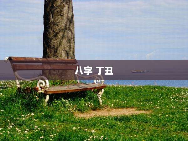 八字 丁丑