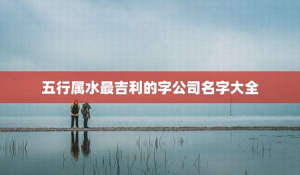 五行属水最吉利的字公司名字大全