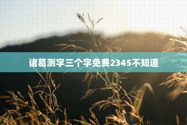 诸葛测字三个字免费2345不知道