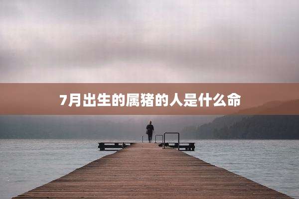 7月出生的属猪的人是什么命